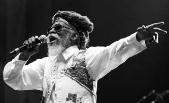 Bunny: the last of the Wailer wails no more