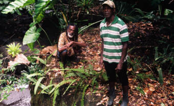 Moïse Polobi et Klod Kiavué, la nature reprend ses droits